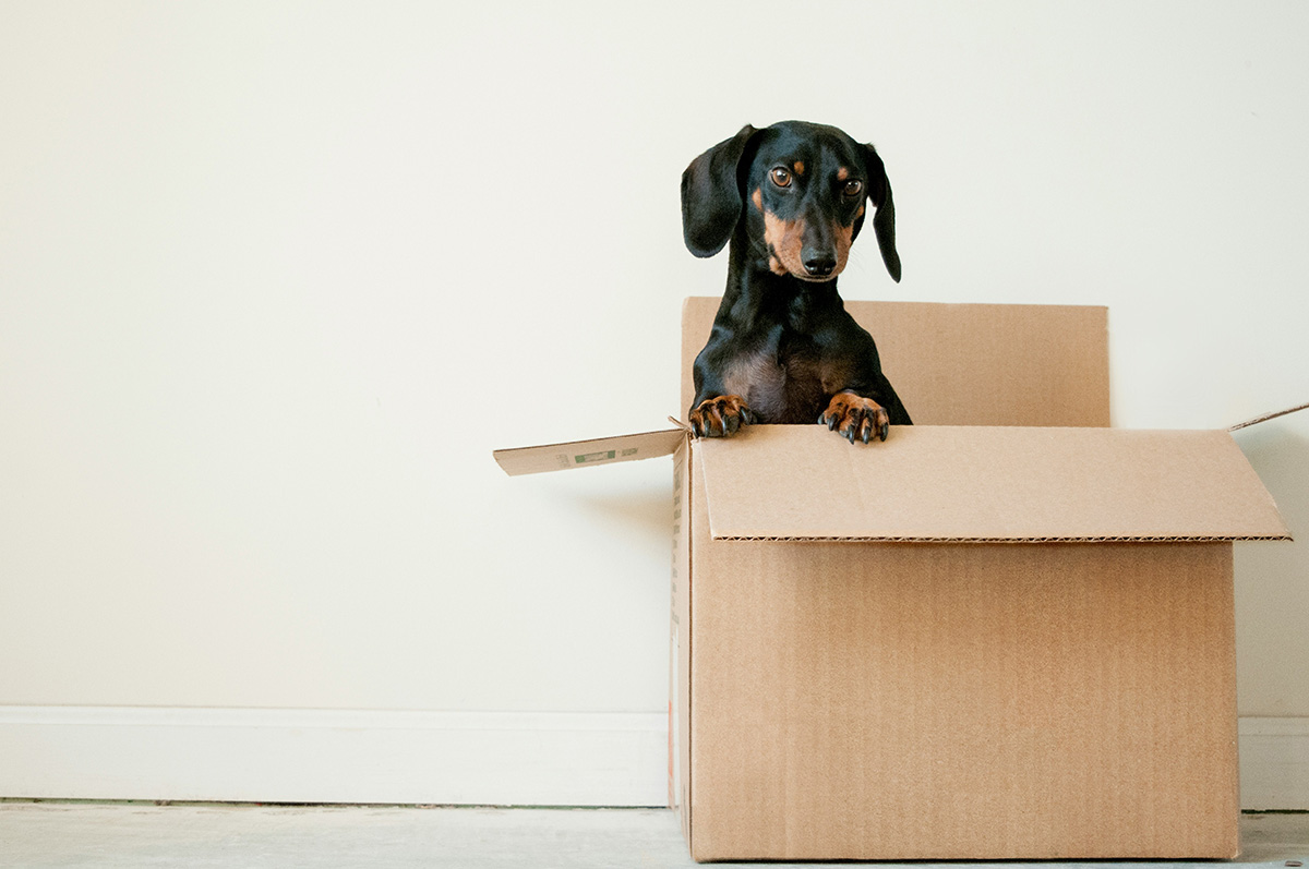 Tips for moving into a home